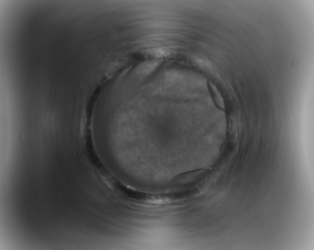 X0000088140760200706111425