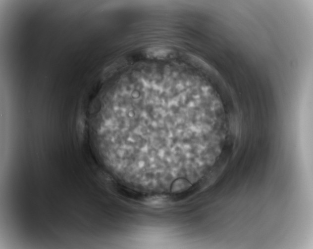 X0000088140761200706111425