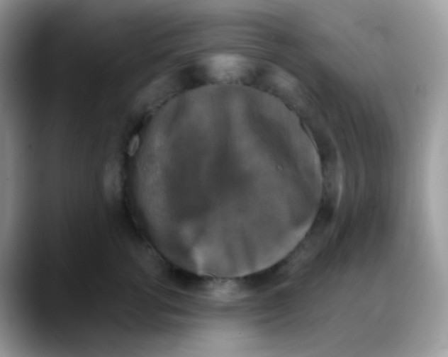 X0000088140762200706111425