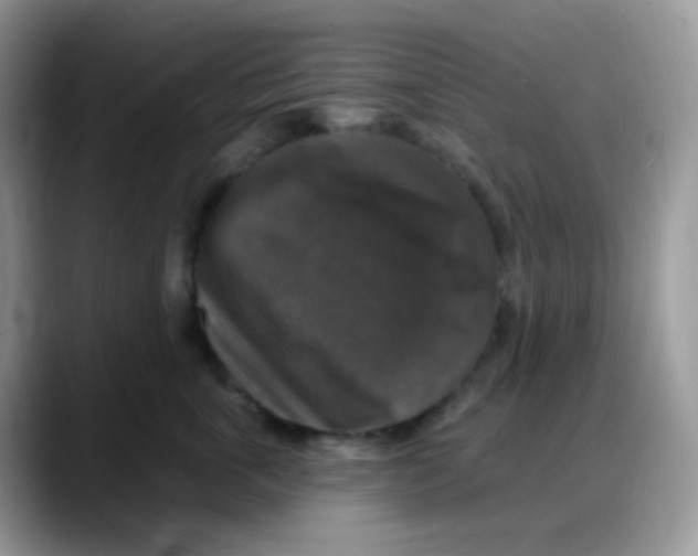 X0000088140763200706111425