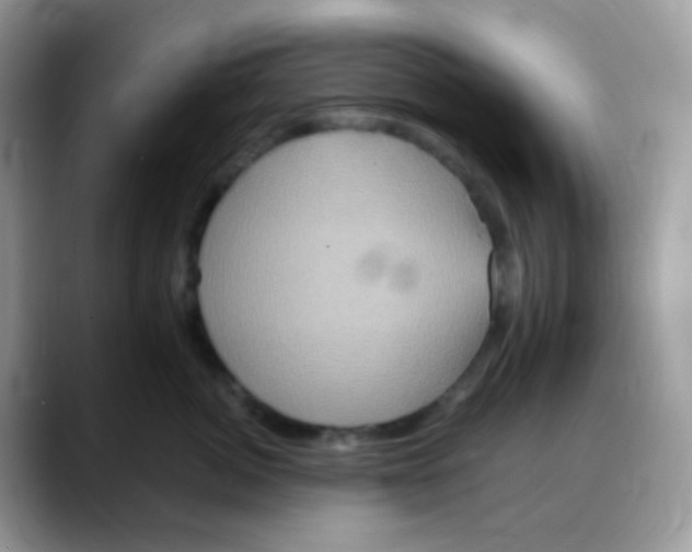 X0000088140764200706111425