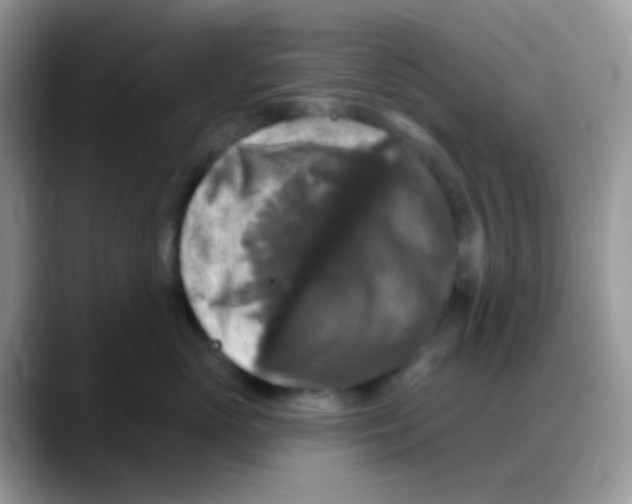 X0000088140765200706111425