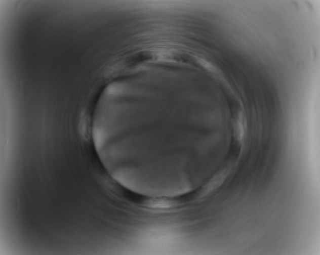 X0000088140766200706111425