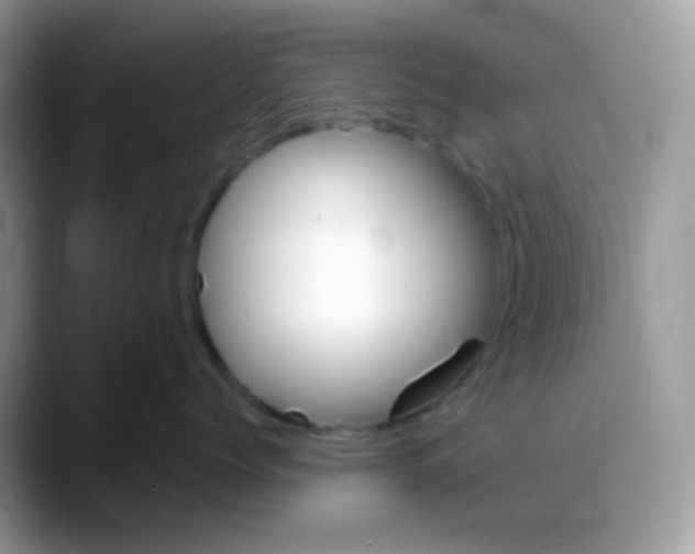 X0000088140768200706111425