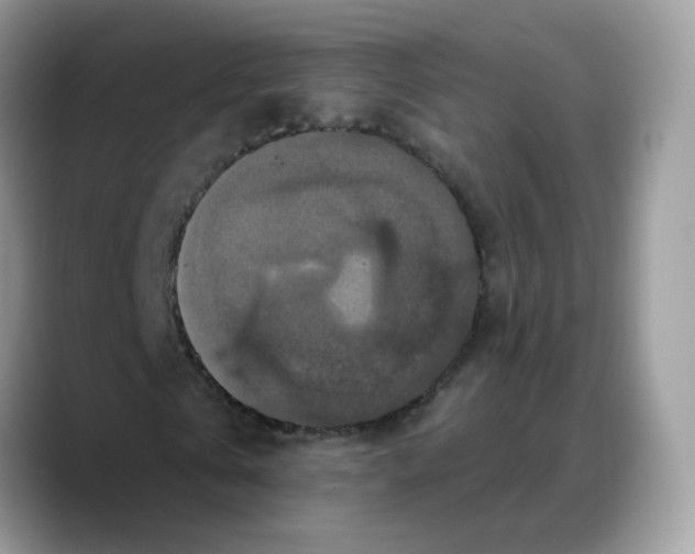 X0000088140769200706111425