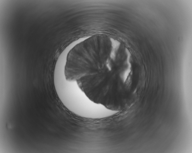 X0000088140772200706111425