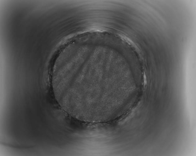 X0000088140776200706111425