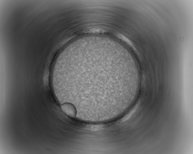 X0000088140778200706111425