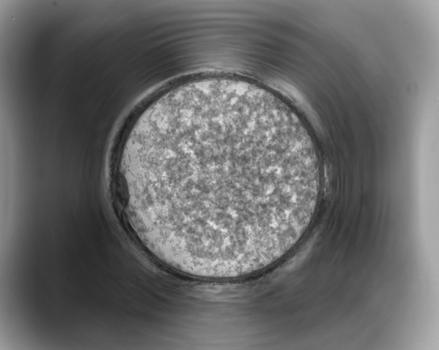 X0000088140780200706111425