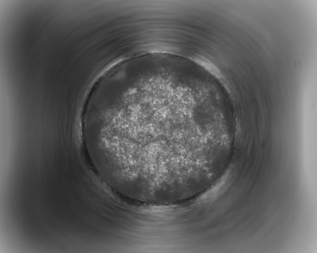 X0000088140782200706111424