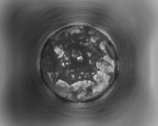 X0000088140783200706111424