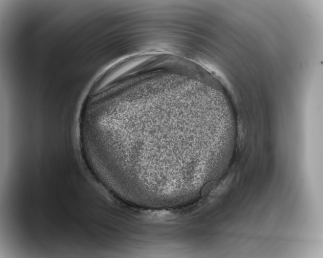 X0000088140784200706111424