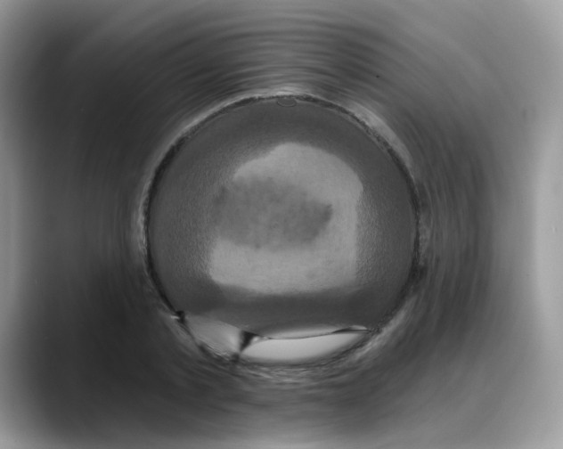 X0000088140789200706111424