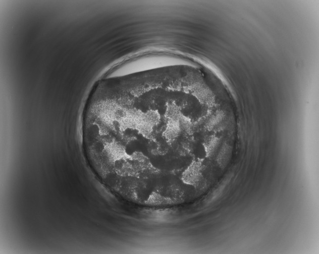 X0000088140791200706111424