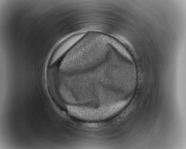 X0000088140792200706111424