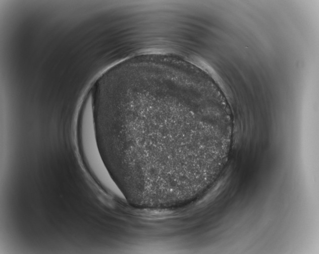 X0000088140795200706111424