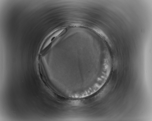 X0000088140798200706111424