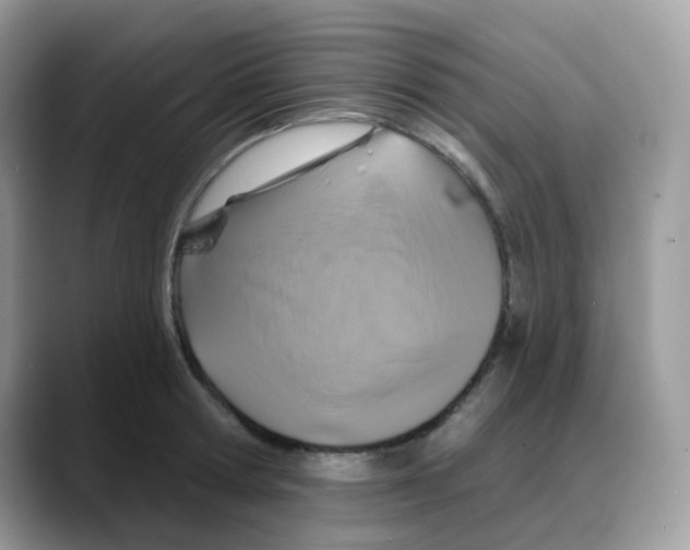 X0000088140802200706111424