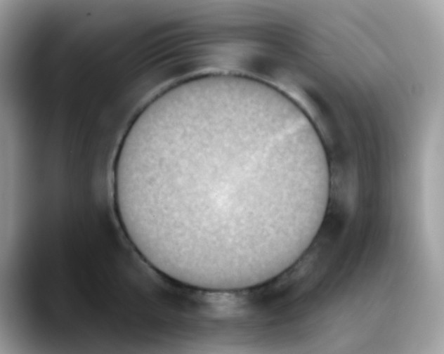 X0000088140807200706111424