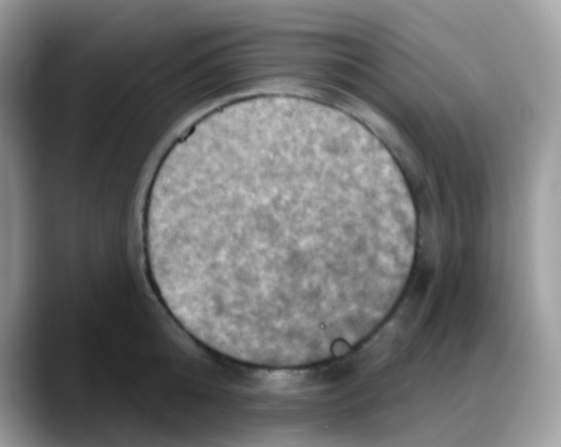 X0000088140808200706111424