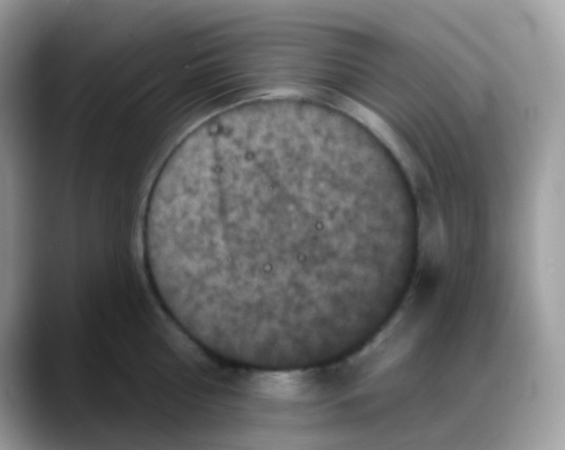 X0000088140810200706111424