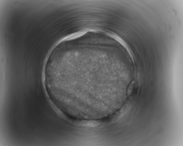 X0000088140811200706111424