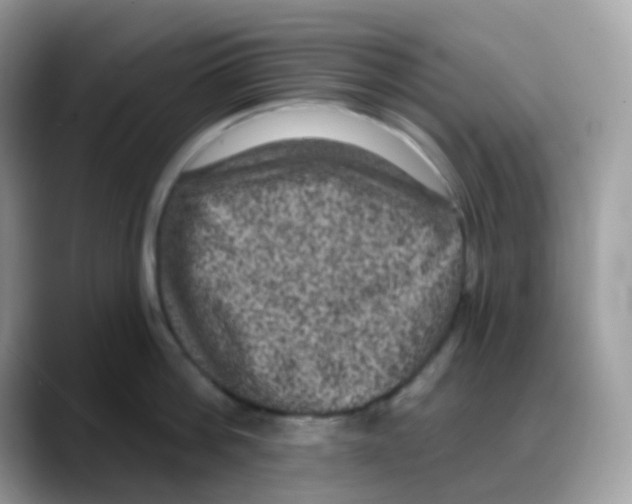 X0000088140812200706111424