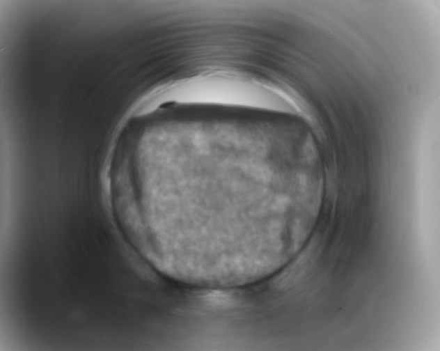 X0000088140814200706111424