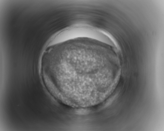 X0000088140815200706111424