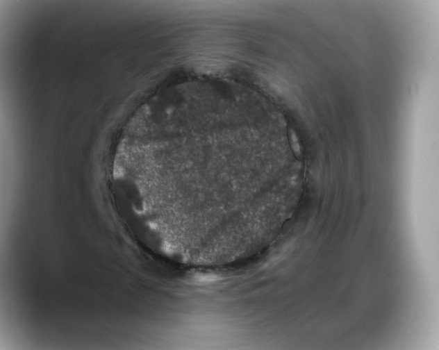 X0000088140817200706111424