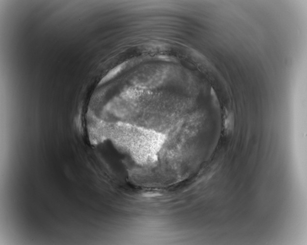 X0000088140819200706111424