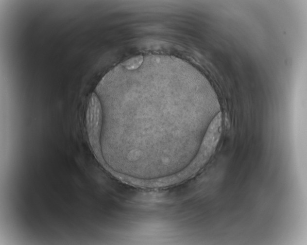 X0000088140820200706111424