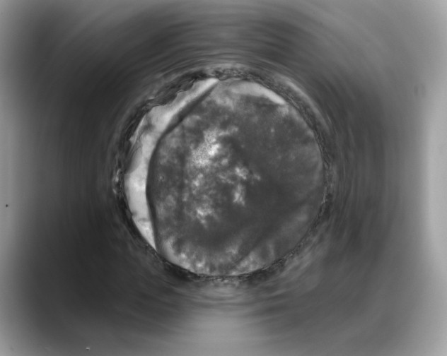 X0000088140823200706111424