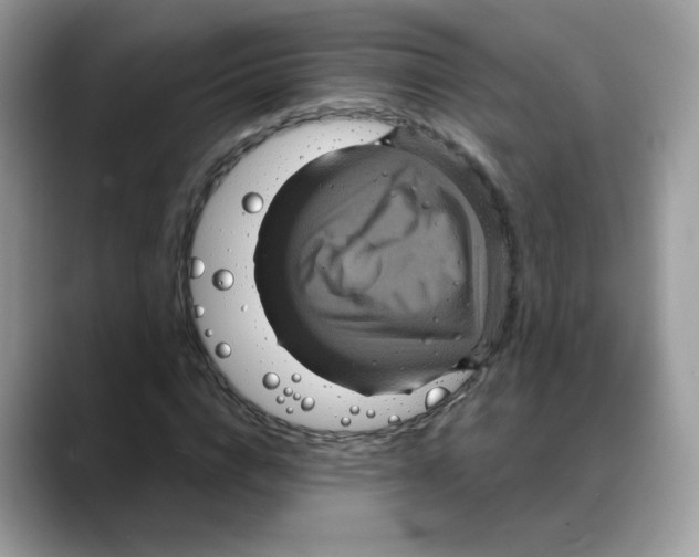 X0000088140824200706111424