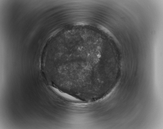 X0000088140825200706111424