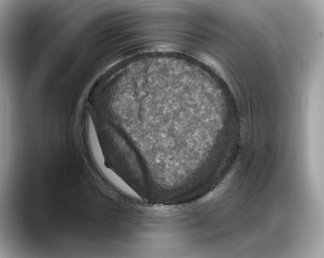 X0000088140827200706111424