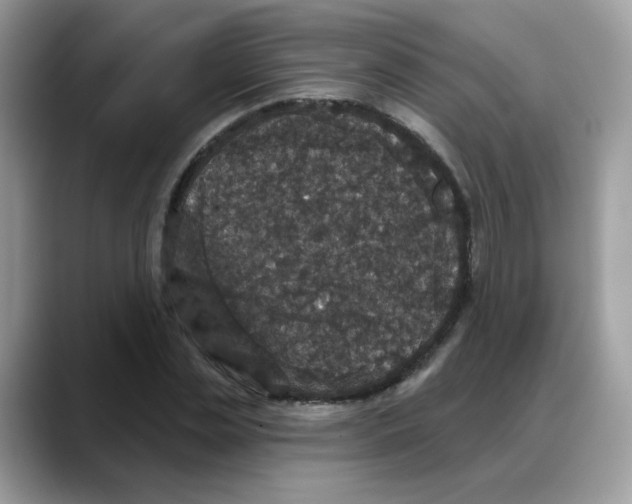 X0000088140829200706111424