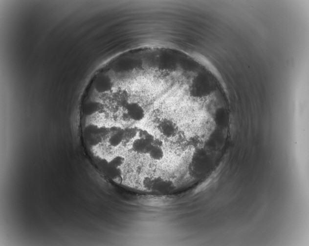 X0000088140831200706111424