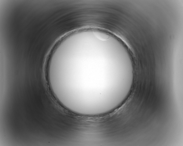 X0000088140832200706111424