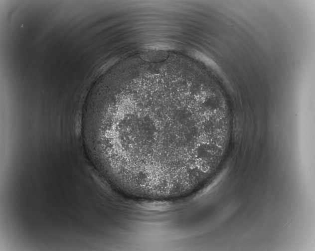 X0000088140833200706111424