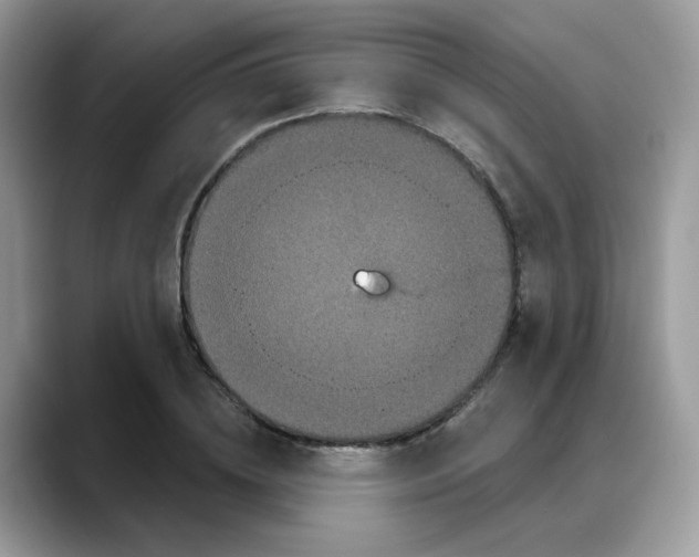 X0000088140836200706111424