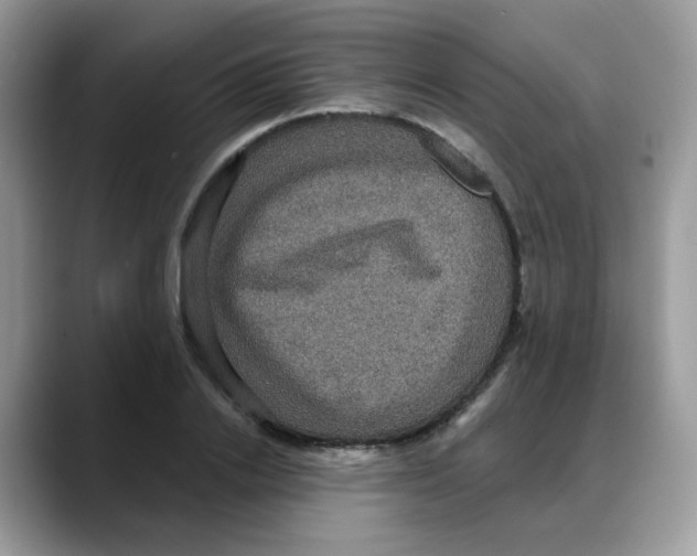 X0000088140838200706111424