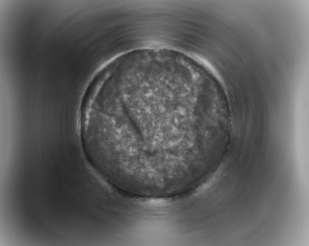 X0000088140839200706111424