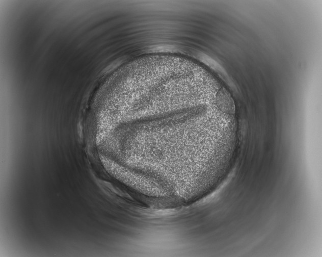 X0000088140841200706111424