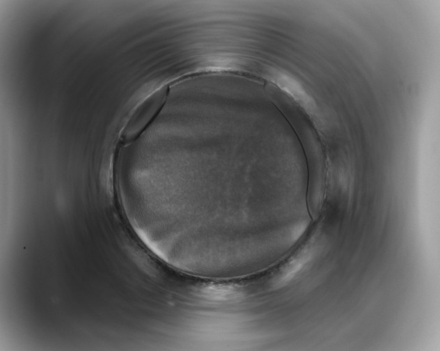 X0000088140842200706111424