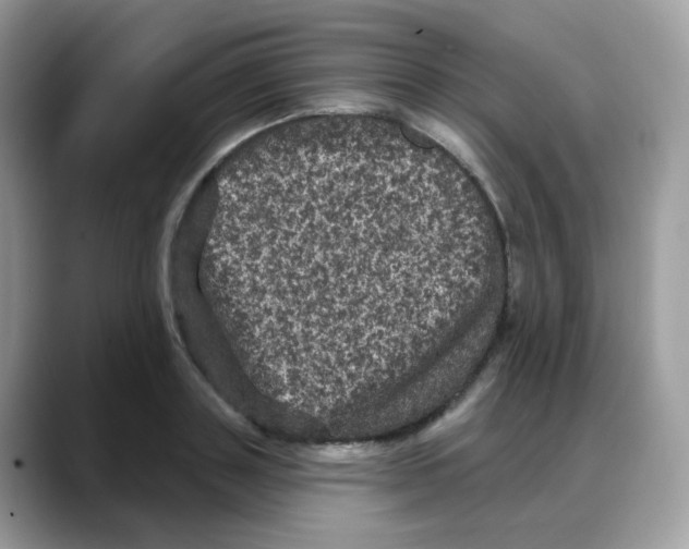 X0000088140843200706111424