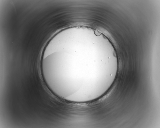 X0000088140844200706111424