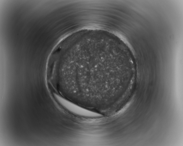 X0000088140845200706111424