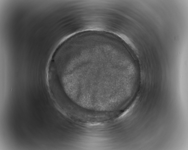 X0000088140846200706111424