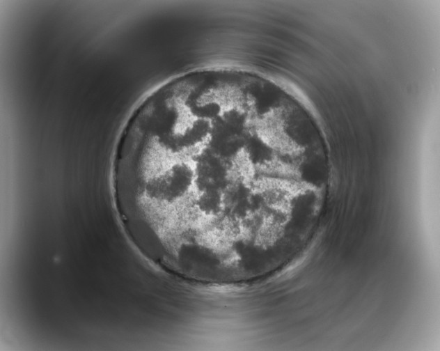 X0000088140847200706111424